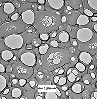 transmission electron microscopy astigmatism check