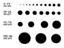 MRS-4 SEM Magnification Calibration