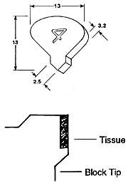 chien mold