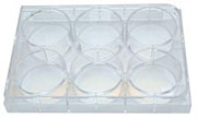 tissue culture plate