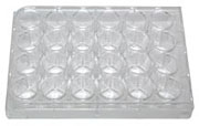 tissue culture plate