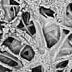 Met-X Polishing Cloth micrograph