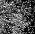 Alpha-A Polishing Cloth micrograph