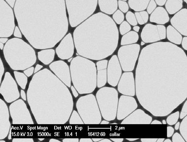 STEM Imaging Micrograph 2