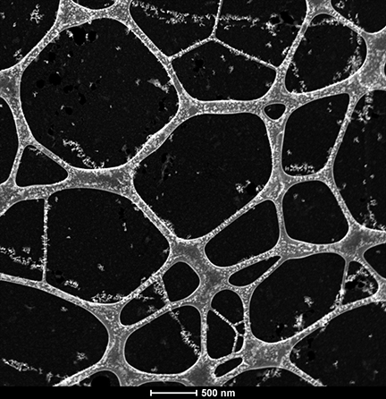 Graphene TEM Support Films for TEM