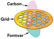 Coated Nylon Tem Grids 43