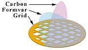 formvar support film grid