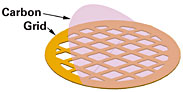 Carbon Support Film on TEM Grid