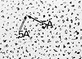 evaporated platinum iridium