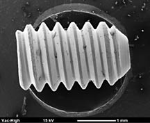 Set screw micrograph