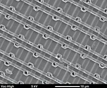 Integrated circuit micrograph