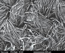 Fabric - lint free cloth micrograph