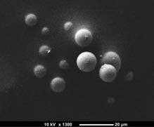 Glass spheres micrograph