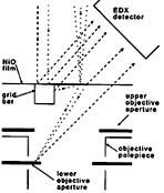 NiO test specimen, NiOx for AEM