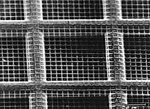 quantifoil  square mesh 7x7µm