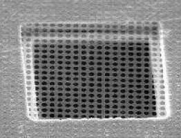 orthogonal array quantifoil substrate 1.2µm dia.