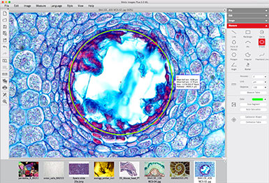 Motic Images Advanced 3.2 3-D Image Presentation