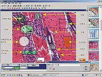 moticam 2000/2300 accessories