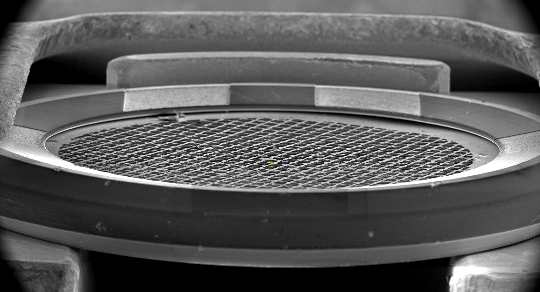 FIB AutoGrid Rings and C-clips close up of milling area