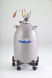 Cryogenic Dewar flask roller stand