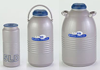 Large Cryogenic Dewar Flasks