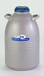 Large Cryogenic Dewar Flasks