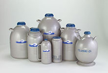 Large Cryogenic Dewar Flasks