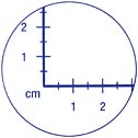 Dissecting Table, DissecTable, metric scale