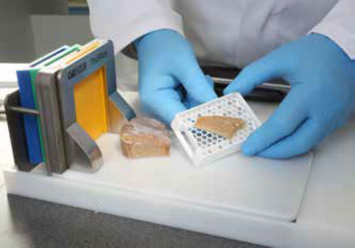 tissue microarray kit