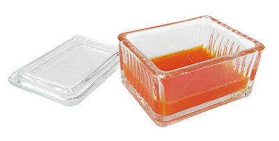 Coplin Staining Jars Plastic for Microwave Applications 6 per Case 