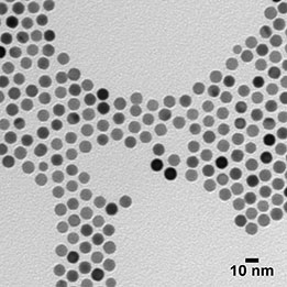 30nm Gold Colloid