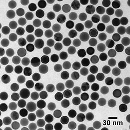 30nm Gold Colloid