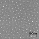pelco gold nanoarrays - nanotechnology products