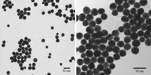 30nm Gold Colloid