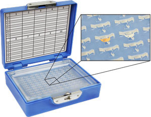 FIB Grid Box with Lid for lift-out or half grids