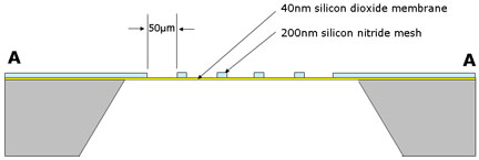  40nm silicon dioxide support filme cross section