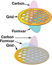 formvar support film grid