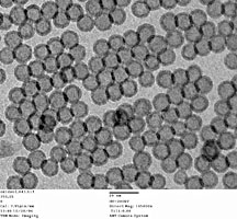Iron nanoparticles dispersed on a Silicon Nitride Support Film
