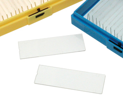 plastic microscope slides