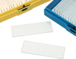 plastic microscope slides