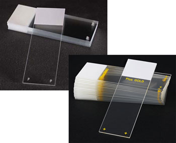 concavity slides with two wells