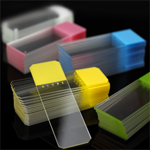 economy glass size 3x1 microscope slides