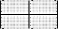 LMS 20Magnification Calibration Standard