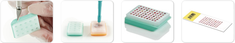 tissue microarray how-to-use