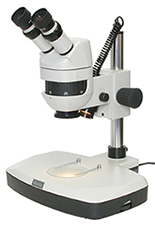 stereo microscopes