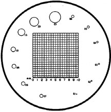 reticle squares mm