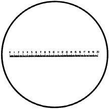 reticle metric scale