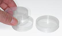 plastic petri dish