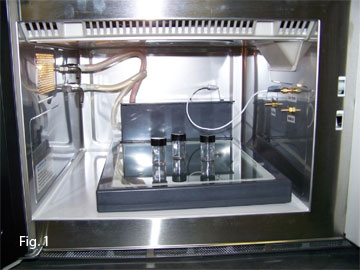 EM Protocol for Microwave Processing 1