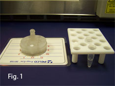 Microwave Fixation Fig. 1